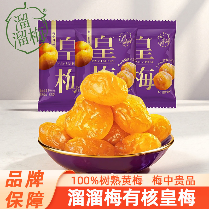 梅子酸甜蜜饯溜溜梅皇梅酸甜青梅梅子有核蜜饯孕妇休闲高端小零食