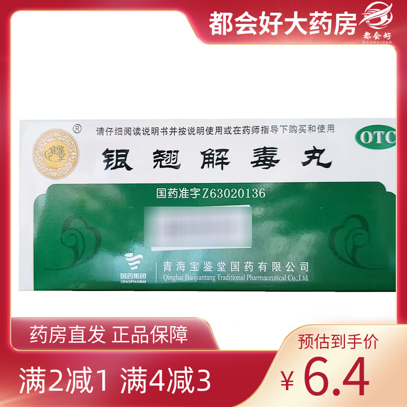 宝鉴堂 银翘解毒丸 9g*10丸/盒