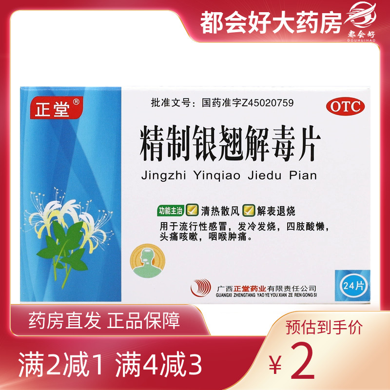 正堂 精制银翘解毒片 44mg*24片/盒
