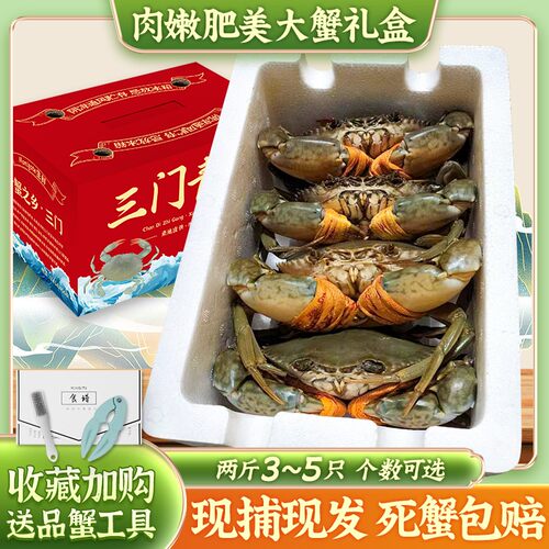 正宗三门青蟹鲜活膏蟹特大