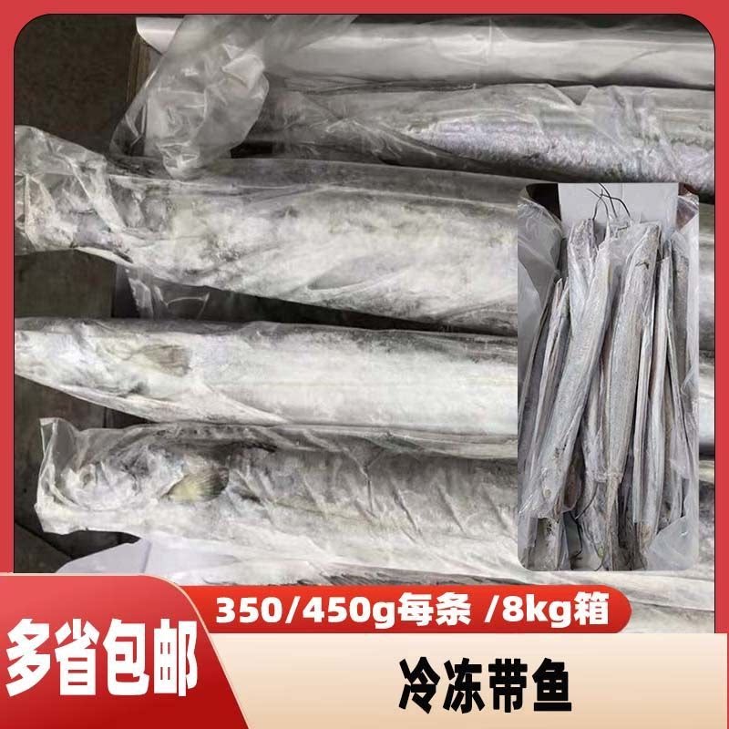 鸿润发冷冻带鱼批发整条鲜活冷冻带鱼