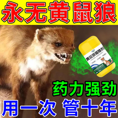 黄鼠狼驱赶神器专用药
