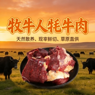 牦牛肉新鲜清真牛剔骨纯瘦肉4斤青海青藏特产天祝白耗牛生鲜碎肉