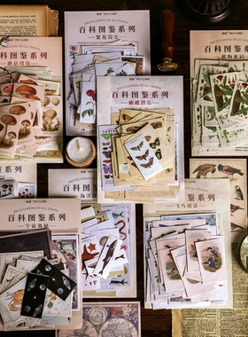 60Pcs Vintage Plant Stickers Retro Flowers Diary Pr Adhes