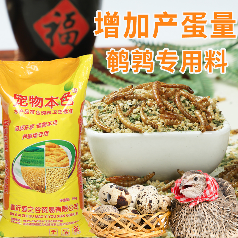 斯威加虫芦丁鸡鹌鹑饲料育雏鹌鹑小鸡产蛋下蛋食料食物卢丁鸡粮食