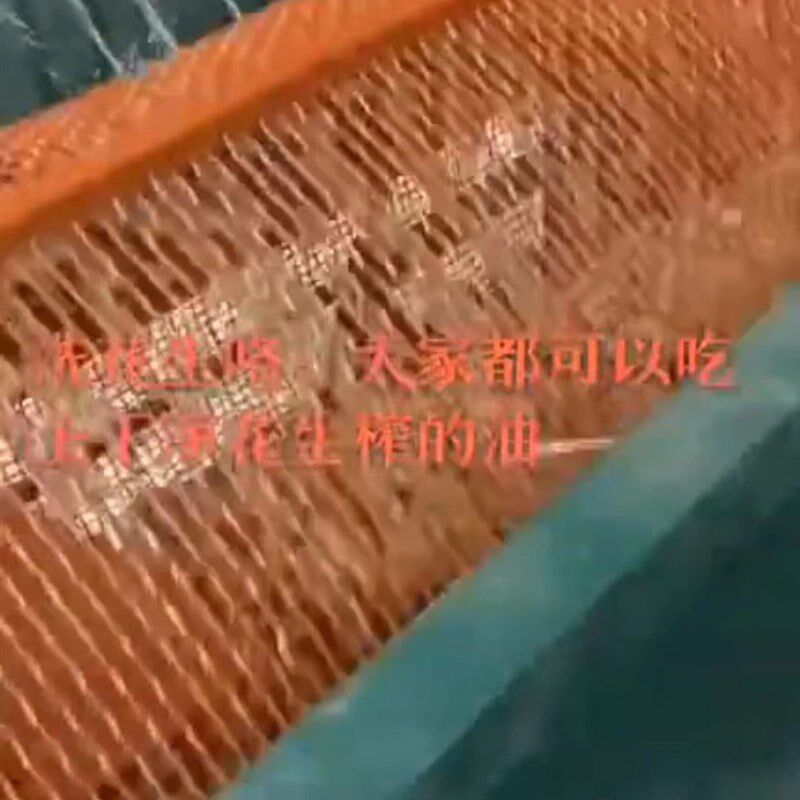 电动洗薯机 自吸泵喷淋洗硬壳海产设备洗螺机 花生清洗机自动出料