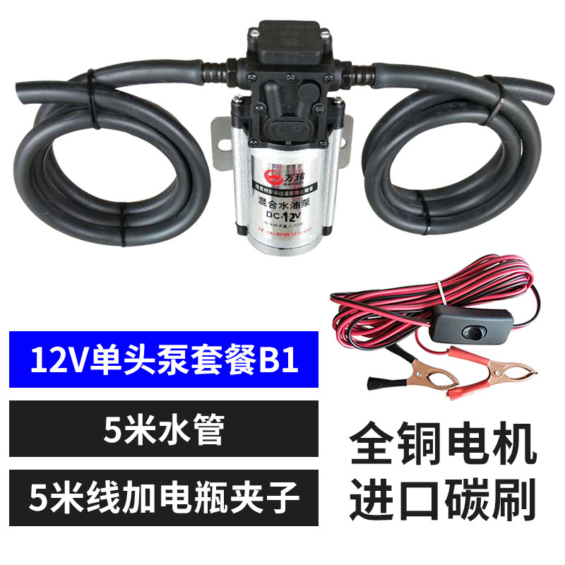 抽油泵柴油12V2m4伏220V抽水泵小型油抽子自吸泵通用电动抽油神器