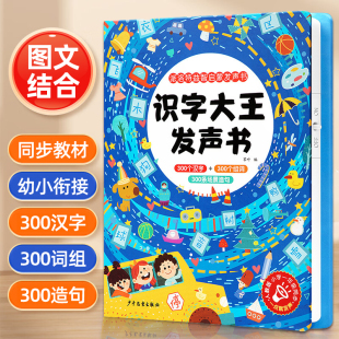 儿童识字大王3000字卡片启蒙点读机早教发声书幼儿园宝宝有声读物