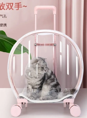 拉杆猫包新款透明大容量宠物箱外出轻便舒适透气猫咪用品PC内贸硬