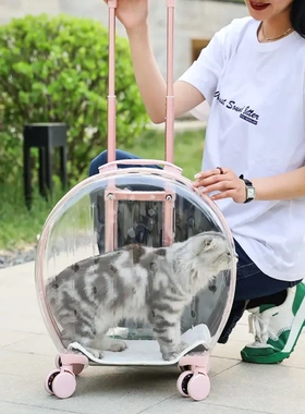 宠物拉杆箱透明行李箱猫包外出宠物手提泡泡箱背包/箱包pc18斤