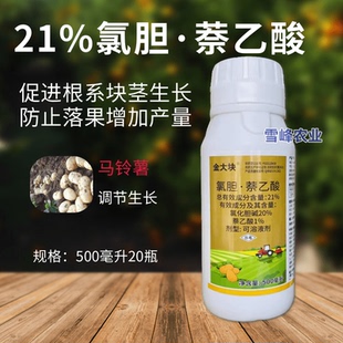 21%氯化胆碱萘乙酸植物生长调节剂地下块茎马铃薯专用药块茎膨大