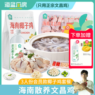海南文昌椰子鸡全套海蓝厨房椰子鸡1-6人份小母鸡标准版火锅套餐