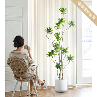 彷真绿色植物假盆栽轻奢装饰花摆件室内大型百合竹彷真花假花客厅