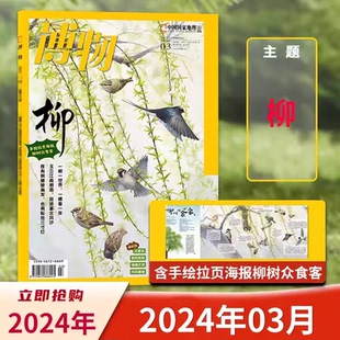 主题：柳 博物杂志2024年3月 自然科学探索动植物科普知识百科全书图文 赠拉页海报 现货