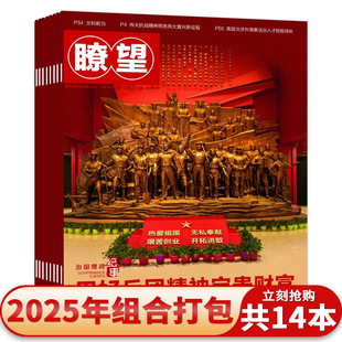 【套装可选】共14本 瞭望杂志2025年24-37期组合打包 新闻事实期刊杂志过期刊休闲课外阅读