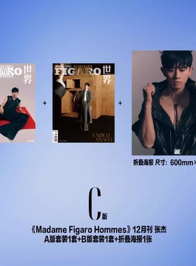 【赠送官方10张拍立得+2张自拍小卡+1张海报】madame FIGARO费加罗世界杂志 2024年12月下 封面张杰 雪山/阿勒泰明星时尚潮流期刊