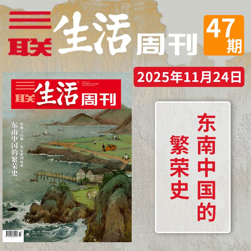 【单期可选 】三联生活周刊杂志2025年47期东南中国的繁荣史阅读现货2024年1-52期全年珍藏好物年货高考看天下2021/2022全年