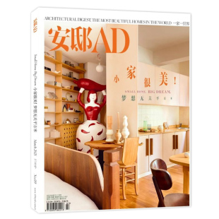 2021年3月 修装 小家很美 饰装 潢设计生活书籍期刊 尚家居装 AD安邸家居杂志