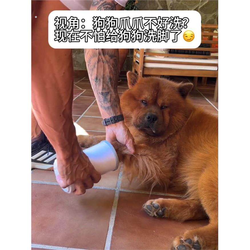 狗猫洗脚神器宠物自动狗爪清洁杯宠物专用狗自动进门擦脚神器清洁