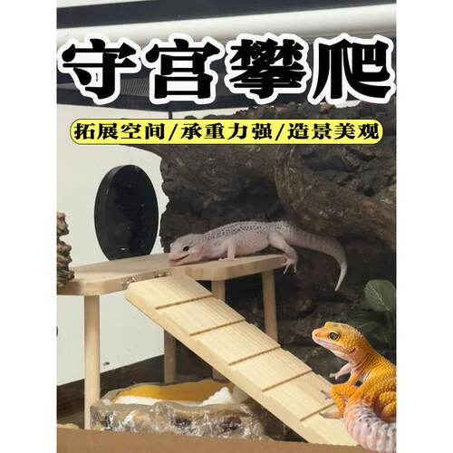 守宫攀爬双层别墅睫角豹纹蜥蜴爬宠肥尾瘤尾造景平台躲避爬梯用品