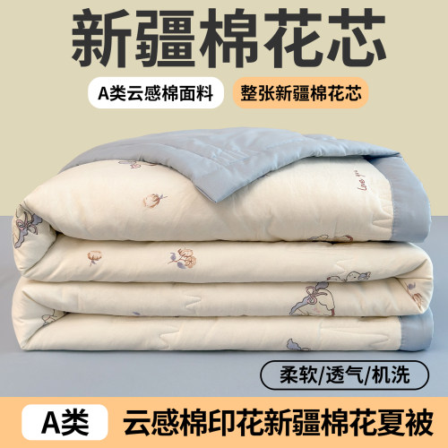 【宝宝放心用】A类新疆棉夏凉被i