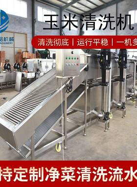 全自动连续式清洗机全套加工机械设备不锈钢多功能玉米清洗机