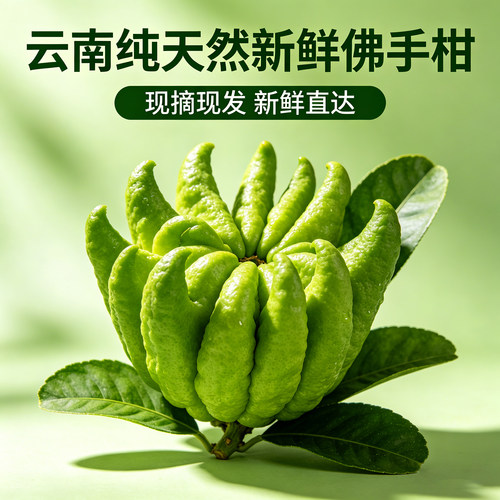 云南精品佛手柑新鲜现摘清香佛手摆件清供闻香观赏纯天然香薰佛手