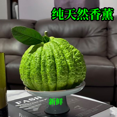 清供香橼佛手柑赏闻新鲜水培绿植食用清供卧室植物天然香薰云南