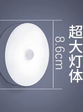 PIR Motion Sensor LED Night Light USB Rechargeable Lamp