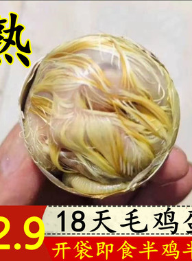 壳逸毛蛋熟即食新鲜18天大毛蛋半鸡半蛋烧烤专用旺鸡胚蛋非活珠子