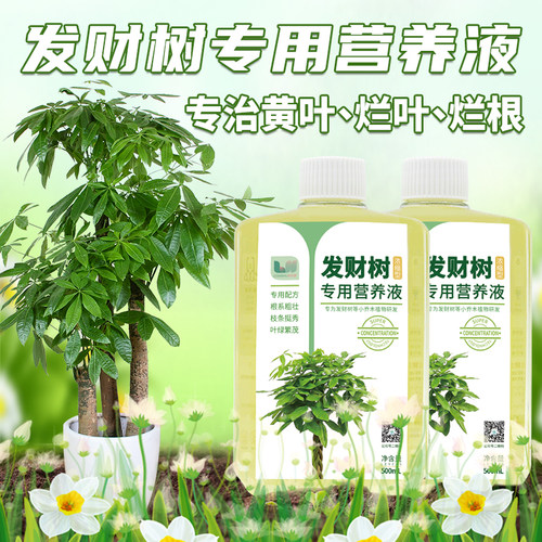 乐时蔬发财树肥料专用肥营养液