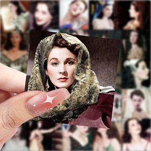 177张费雯丽贴纸ins高颜值欧美明星周边手机手账diy装饰贴画防水