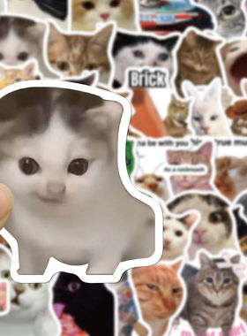 100张猫梗合集贴纸可爱搞笑搞怪趣味猫meme表情包手账素材装饰贴