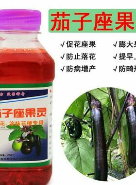 茄子座果灵 圆茄长茄罐茄 专用授粉药点花药保花保果坐果灵防落素