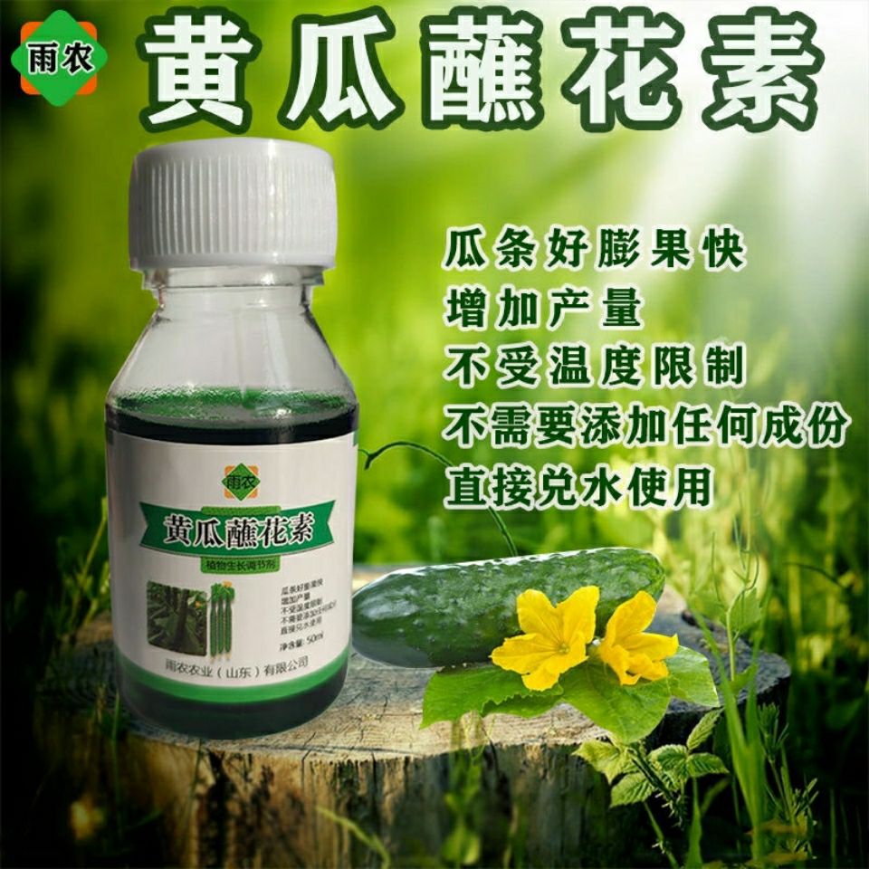 黄瓜蘸花素鲜花王 油亮顺直拉长顶花带刺黄瓜鲜花素沾花药 浸花药