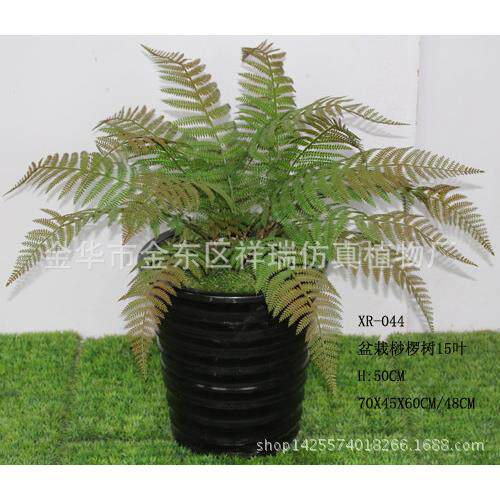 仿真植物蕨类假叶子盆栽桫椤叶落地盆景桫椤假树叶子博物馆工程