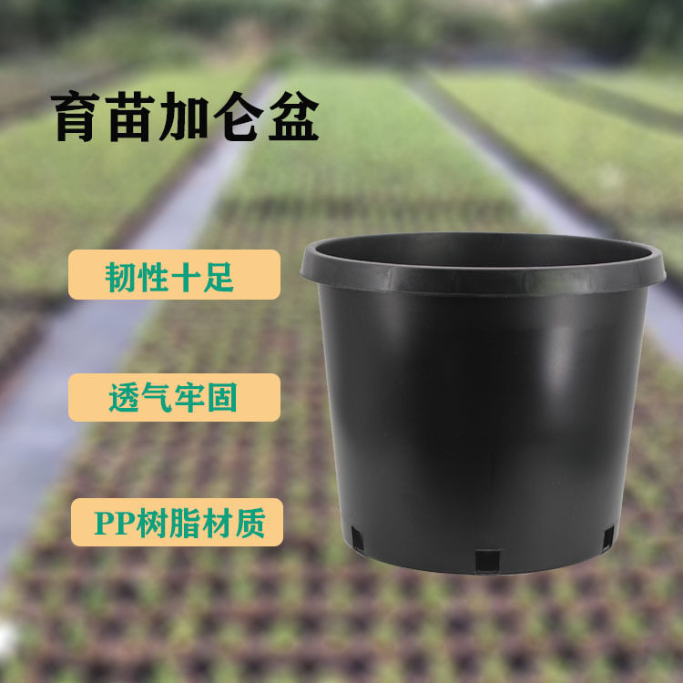 厂家直供15加仑盆 大号圆形黑色矮胖盆栽果树塑料15加仑花盆
