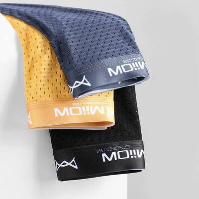 3Pcs Sexy Mesh Men Boxer Underwear Graphene Antibacterial