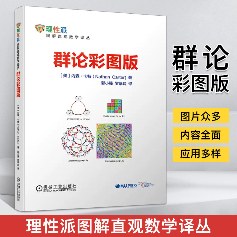 群论彩图版 图解直观数学译丛 趣味数学知识书 数学原来可以这样学