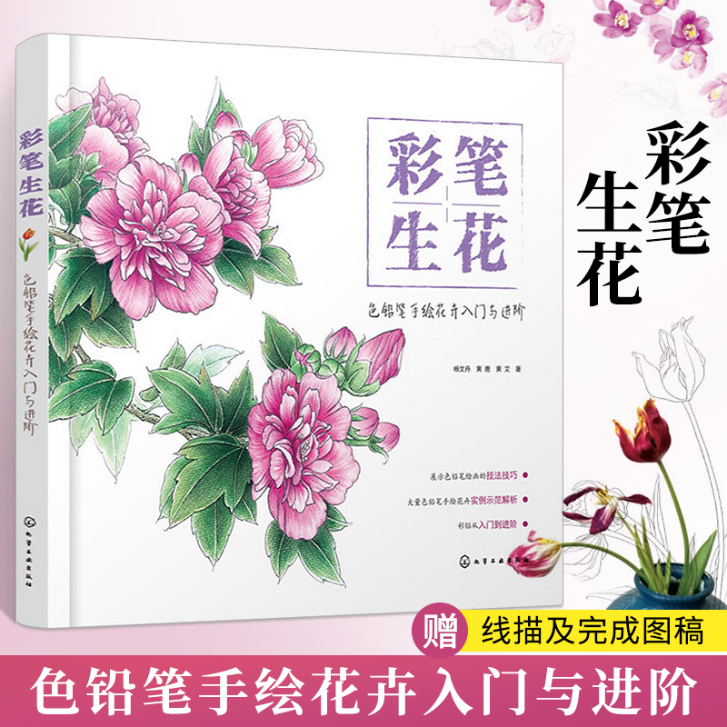 彩笔生花色铅笔手绘花卉入门与进阶 铅笔画临摹本彩铅绘画教程书籍