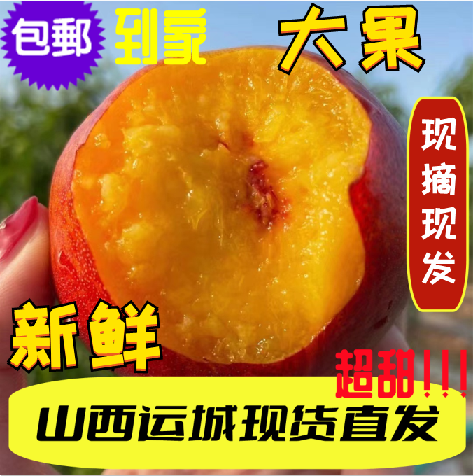 精品麻点油桃运城黄心麻点油桃脆桃子新鲜采摘