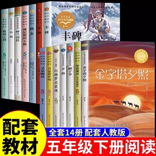 五年级下册课外书全套14册月是故乡明又见梅花军神可爱的中国丰碑跳水威尼斯小艇牧场之国刷子李金字塔夕照等着乘凉-华君武漫画选
