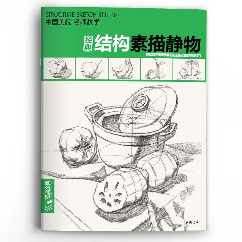 经典结构素描静物 杨建飞,周文超著 经典全集 素描结构静物组合临摹书籍美术基础技法结构到位绘画册照片风暴高艺联考教学程材大八
