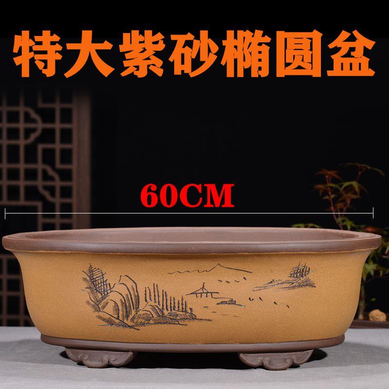 特大紫砂椭圆盆景盆大口径绿植老桩盆栽树盆陶瓷盆栽透气花盆丛林
