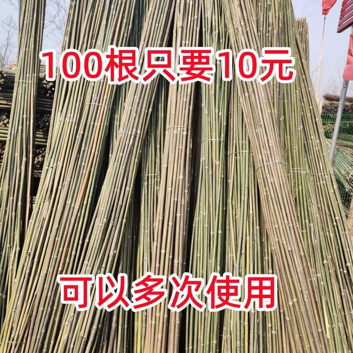 竹竿菜园搭架竹子户外旗杆黄瓜豆角爬藤菜架竹杆支架豇豆搭架杆