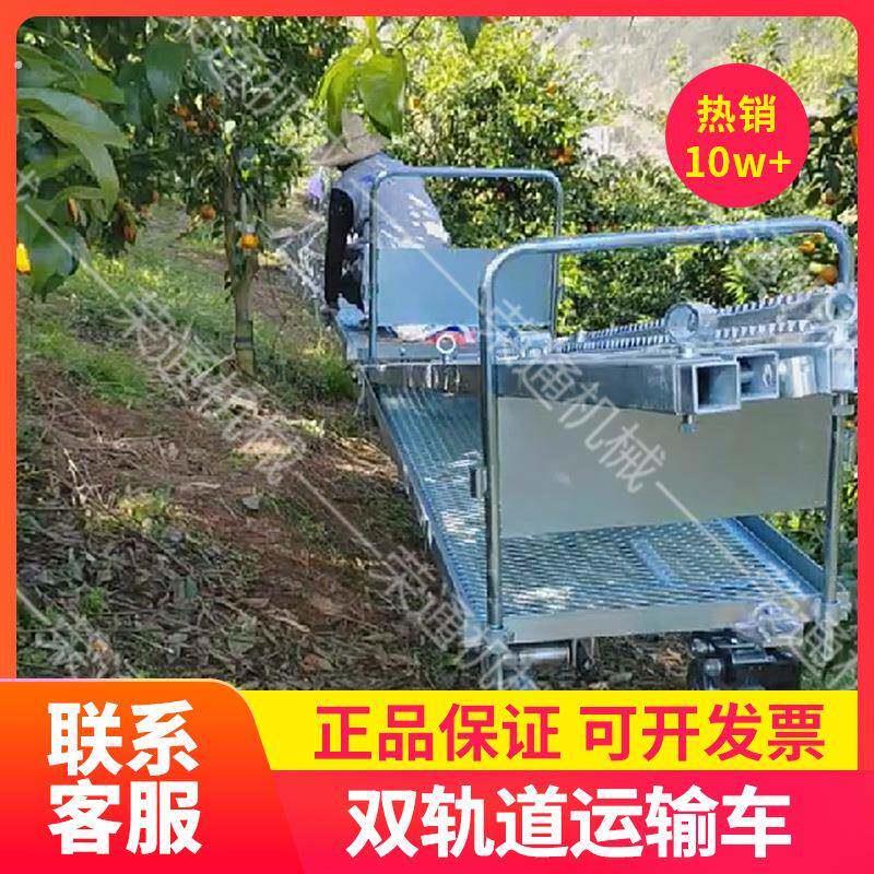 农用轨道搬运车农作物果蔬移动装卸索道自动搬运式小型双轨运输车