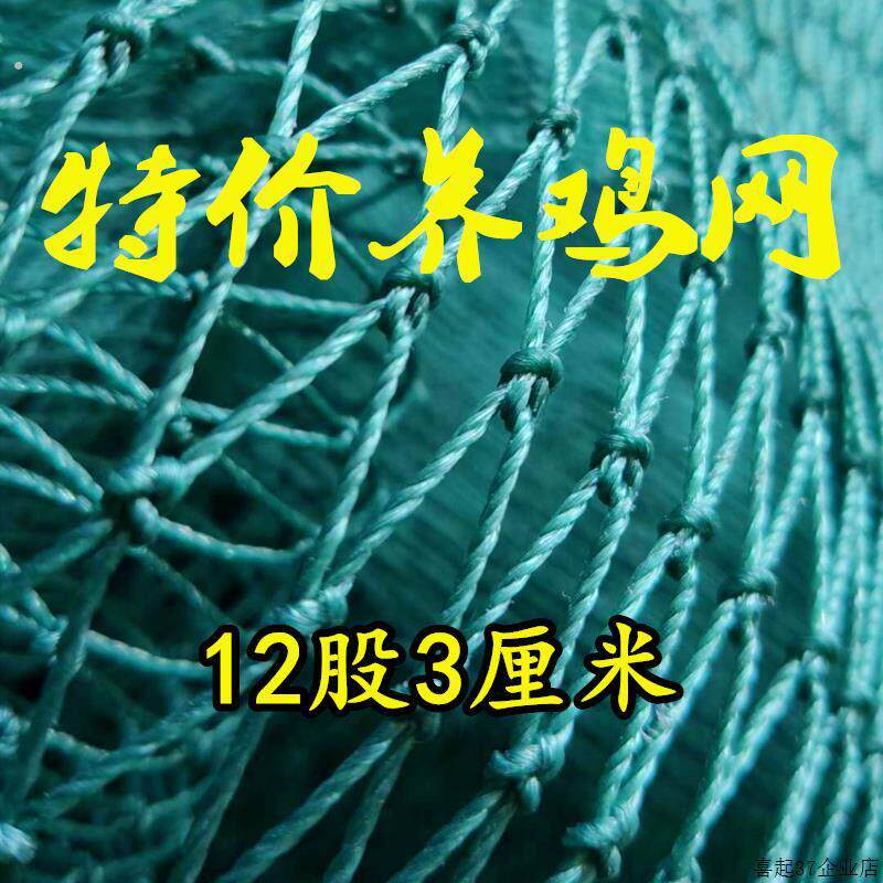 家禽养殖网养鸡网户外网拦鸡网防鸡网天网菜园网围鸡网围栏网户外