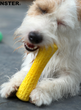 Qmonster狗狗玩具TPR发泡发声磨牙耐咬自嗨解闷神器宠物互动玩具