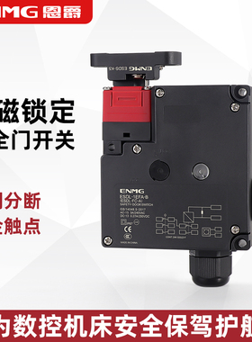 恩爵电磁锁安全门开关d4nl安全门电磁锁开关插销式DC24V机械锁定