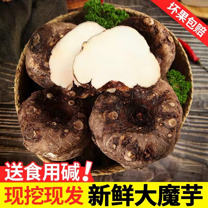 云南新鲜农家自种魔芋现挖